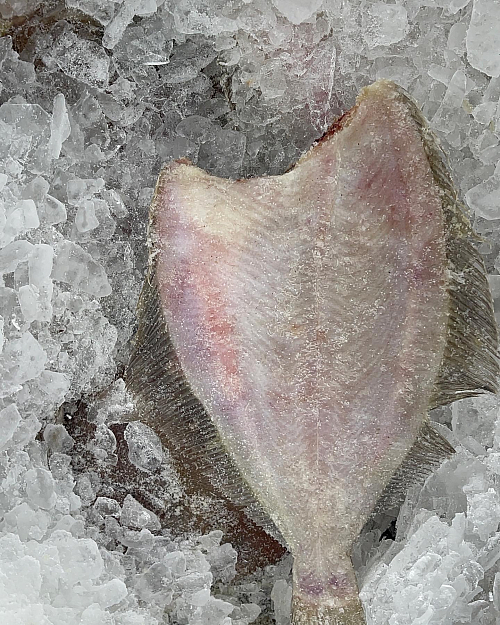 Камбала - любят дети и взрослые!